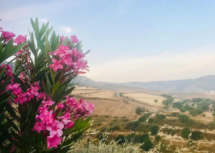 Panoramic Holidays *